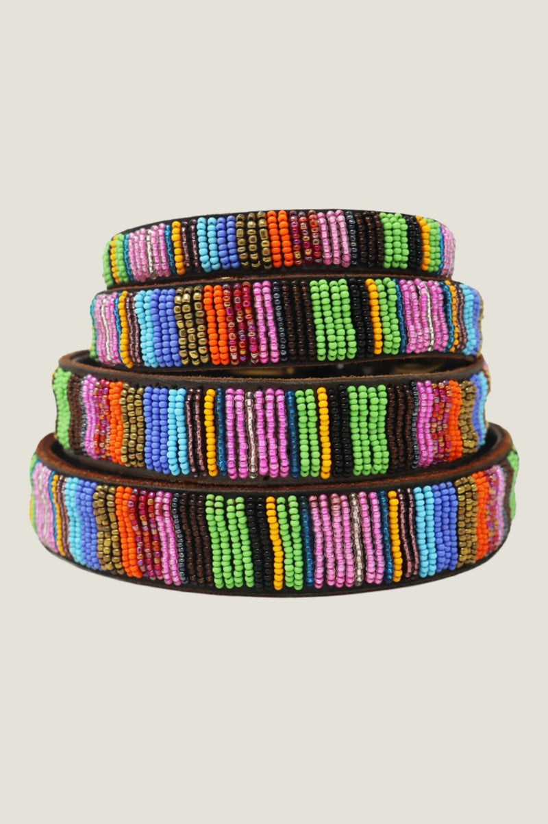 Dog Collar | Full Beaded Multishine