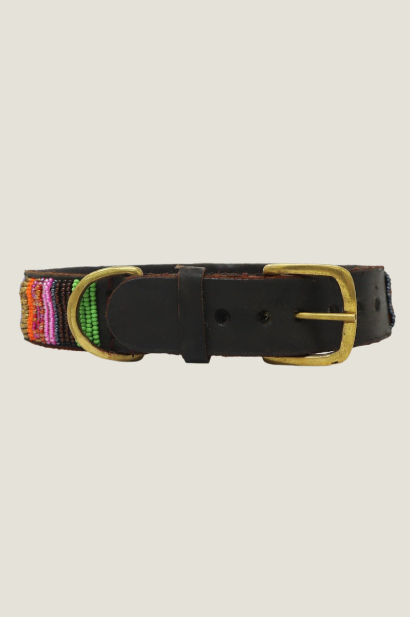 Dog Collar | Full Beaded Multishine