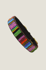 Dog Collar | Full Beaded Multishine