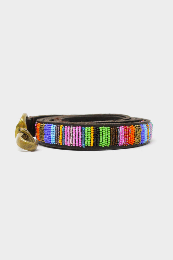 Dog-Lead-Multishine-on-Coffee-Leather